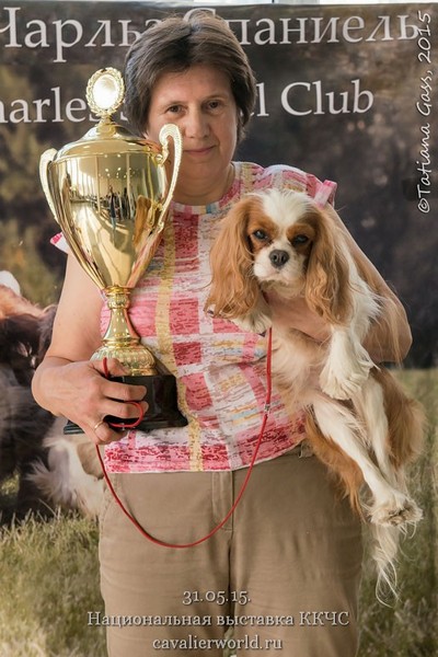 PETERS CAVALIER ADELLI LEYA Best female ЧК.jpg